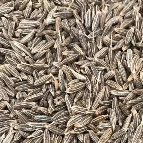 Premium Cumin Seeds Supplier in Kolar